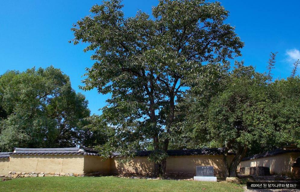 Bukchondaek Bed & Breakfast Andong Ngoại thất bức ảnh